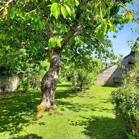 Bed & Breakfast Heritage Stone House With Gourmet Breakfast - D'hotes De Charme Entre Bayeux Et Les Plages Du Debarquement Sommervieu