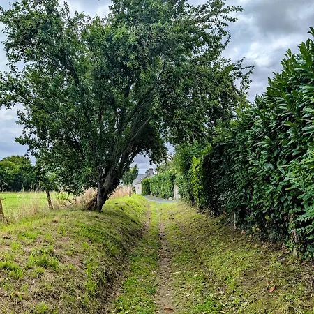 Frühstückspension Heritage Stone House With Gourmet Breakfast - D'hotes De Charme Entre Bayeux Et Les Plages Du Debarquement Sommervieu