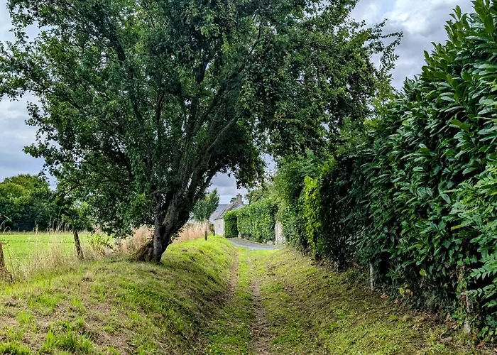 Bed & Breakfast Heritage Stone House With Gourmet Breakfast - D'hotes De Charme Entre Bayeux Et Les Plages Du Debarquement Sommervieu